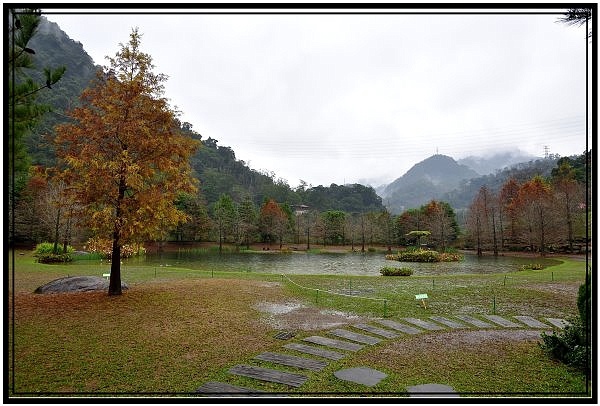DSC_4107.jpg DSC_4107.jpg
