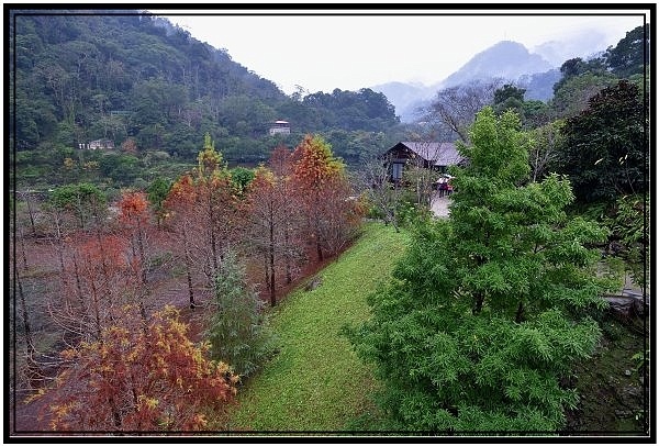 DSC_4117.jpg DSC_4117.jpg