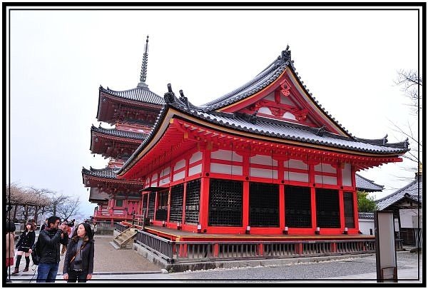 DSC_1498.jpg DSC_1498.jpg