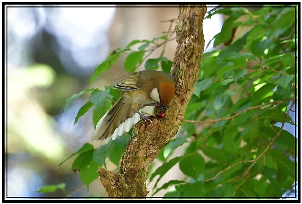 DSC_8329.jpg DSC_8329.jpg