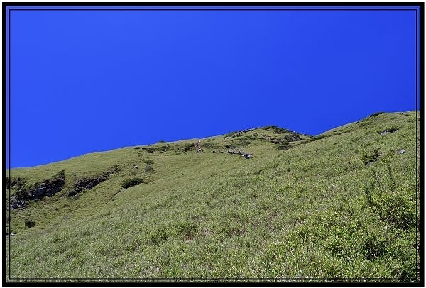 DSC_1758.jpg DSC_1758.jpg