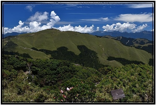 DSC_1813.jpg DSC_1813.jpg