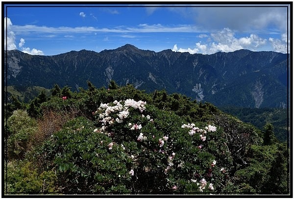 DSC_1886.jpg DSC_1886.jpg