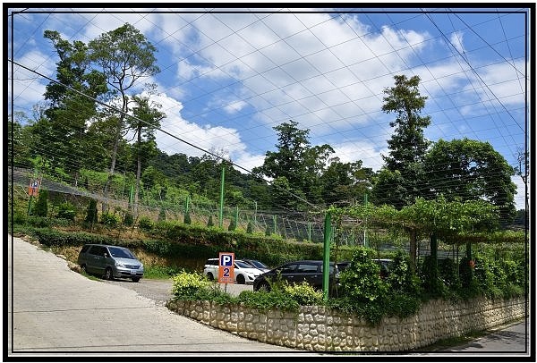 DSC_2763.jpg DSC_2763.jpg