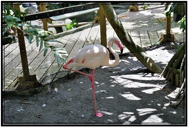 DSC_3226.jpg DSC_3226.jpg