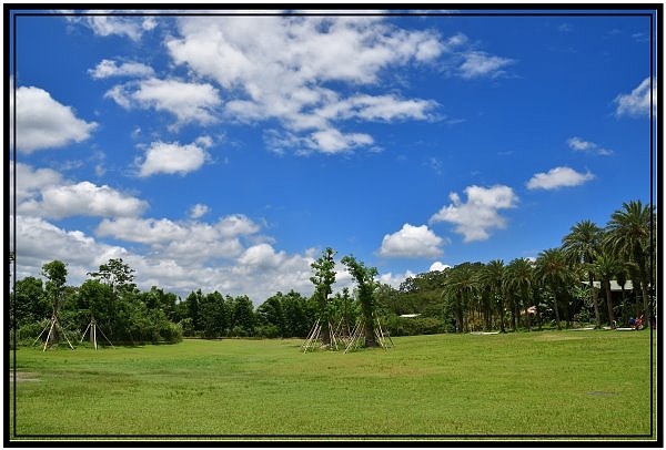 DSC_3244.jpg DSC_3244.jpg