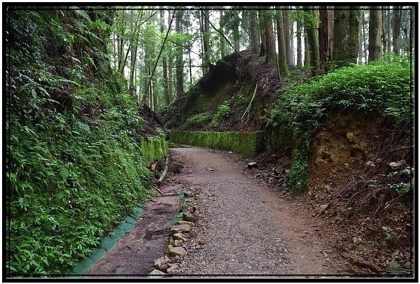 DSC_3660.jpg DSC_3660.jpg