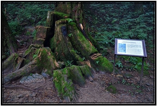 DSC_3673.jpg DSC_3673.jpg
