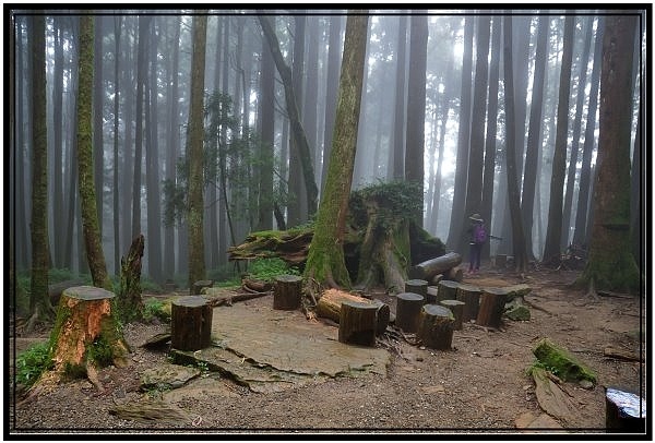 DSC_3694.jpg DSC_3694.jpg
