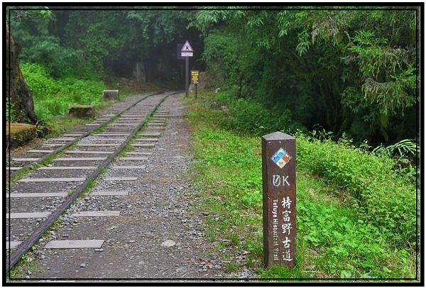 DSC_3701.jpg DSC_3701.jpg