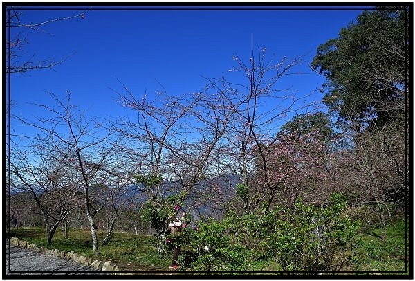 DSC_7333.jpg DSC_7333.jpg