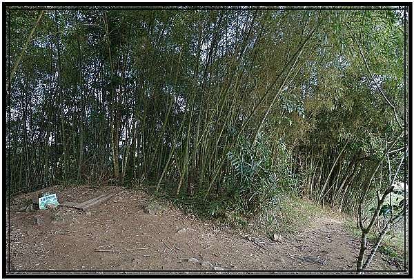 樟腦寮阿拔泉山步道o型縱走五連峰 老邱的悠遊天地 痞客邦