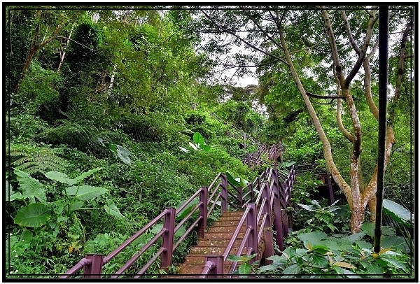 雲林古坑華山土石流教學園區