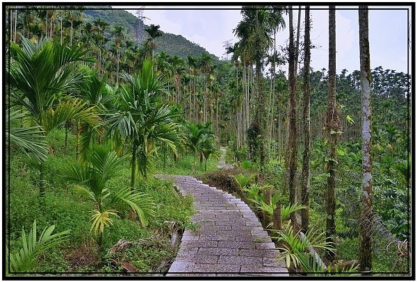 雲林古坑華山土石流教學園區