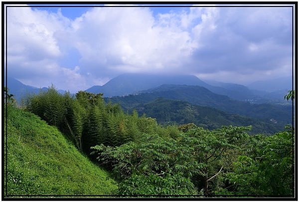 竹山鹿谷凍頂山優質露營區烏龍營地露營