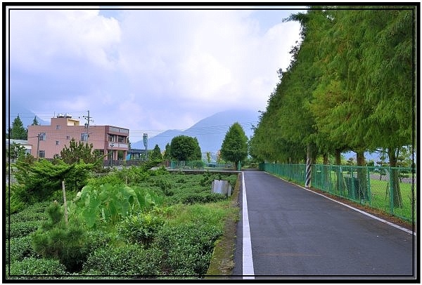 竹山鹿谷凍頂山優質露營區烏龍營地露營