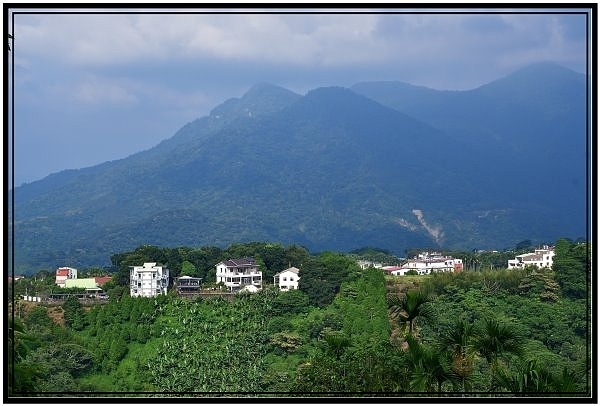 竹山鹿谷凍頂山優質露營區烏龍營地露營