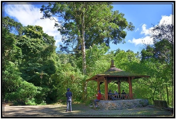 挑戰特富野古道全程來回健行活動