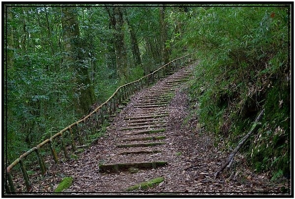 挑戰特富野古道全程來回健行活動