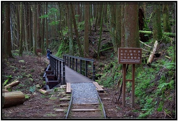 挑戰特富野古道全程來回健行活動