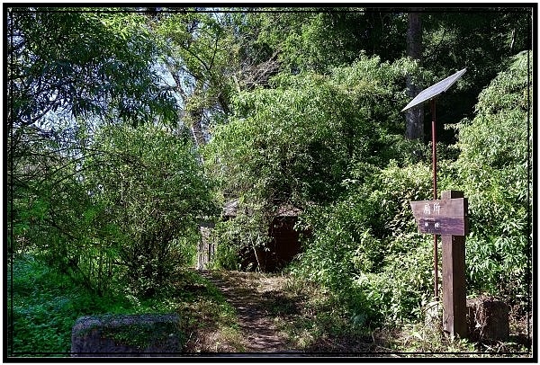 挑戰特富野古道全程來回健行活動