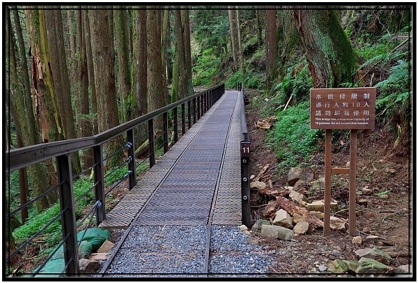 挑戰特富野古道全程來回健行活動