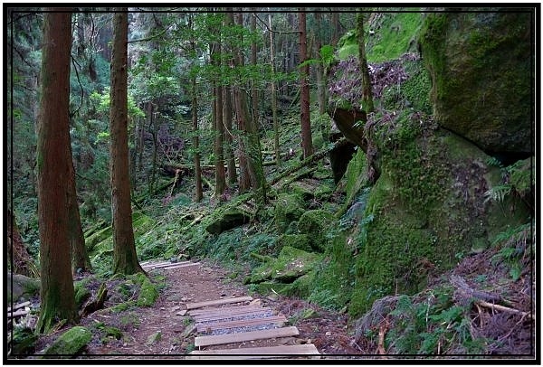 挑戰特富野古道全程來回健行活動