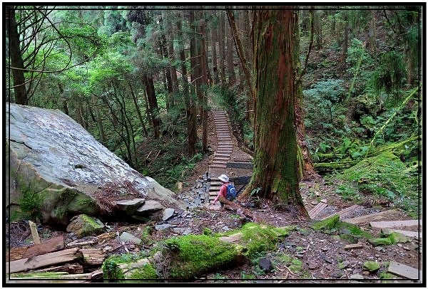 挑戰特富野古道全程來回健行活動