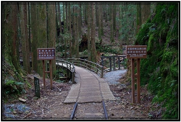 挑戰特富野古道全程來回健行活動