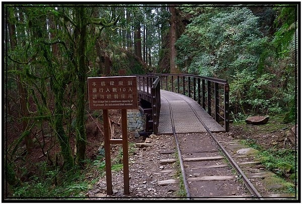 挑戰特富野古道全程來回健行活動