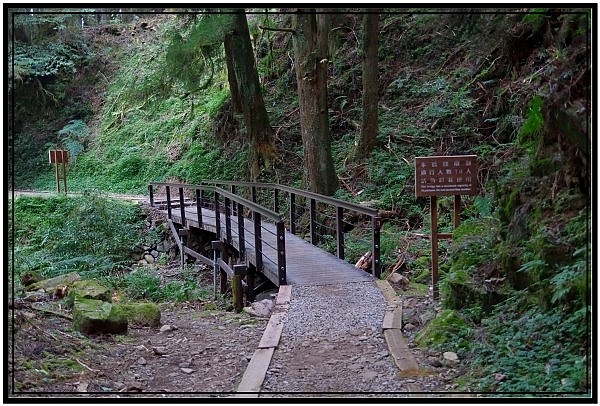 挑戰特富野古道全程來回健行活動