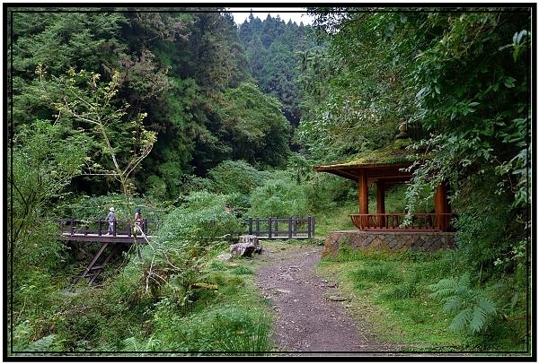 挑戰特富野古道全程來回健行活動