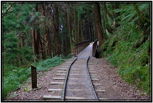 挑戰特富野古道全程來回健行活動