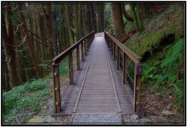 挑戰特富野古道全程來回健行活動