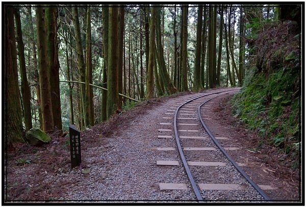 挑戰特富野古道全程來回健行活動