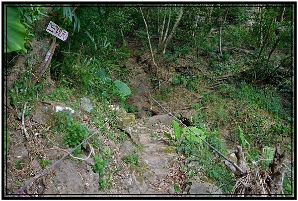 由梅嶺伍龍步道起登到獵鷹尖一線天來回健行