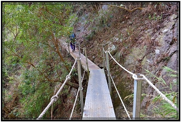 由梅嶺伍龍步道起登到獵鷹尖一線天來回健行