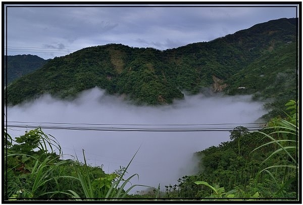 嘉義瑞里梅山滿山雲海看到飽