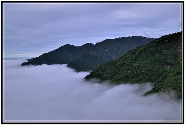 嘉義瑞里梅山滿山雲海看到飽