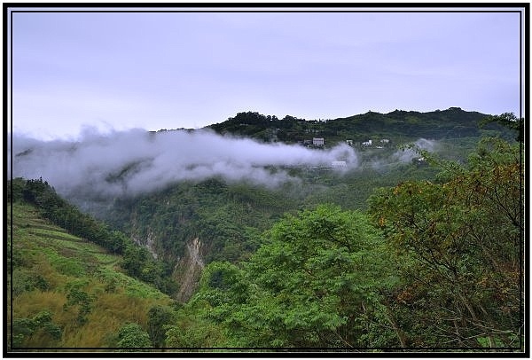 嘉義瑞里梅山滿山雲海看到飽