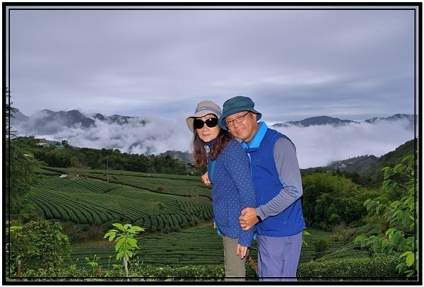 嘉義瑞里梅山滿山雲海看到飽