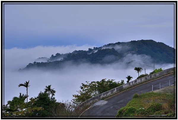 嘉義瑞里梅山滿山雲海看到飽