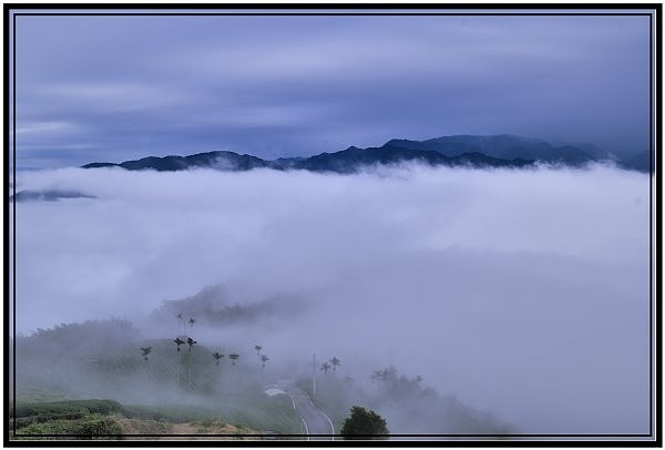 嘉義瑞里梅山滿山雲海看到飽