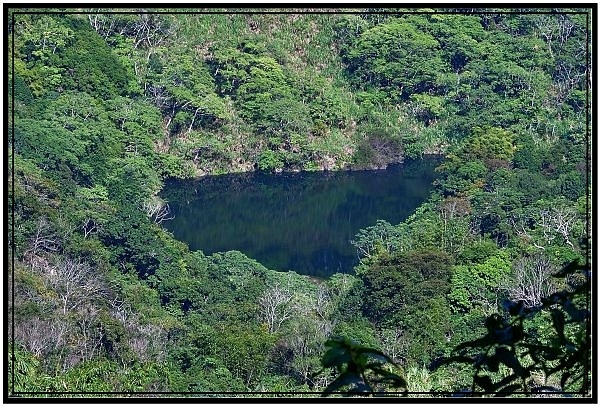 南投國姓鄉九份二山921國家地震園區梅花盛開