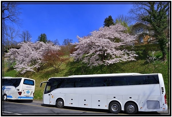 [德瑞旅遊5]第一次進入瑞士就參觀首都伯恩