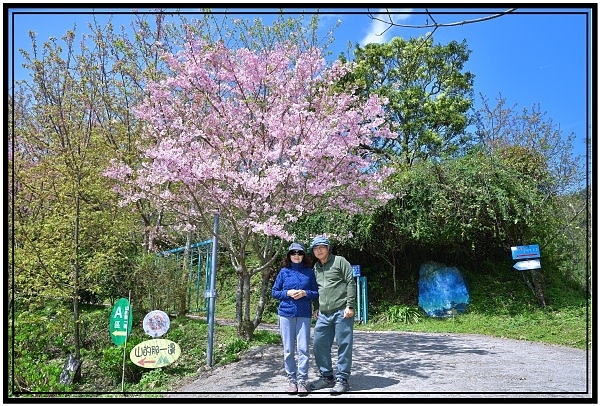 新竹五峰白蘭部落星空下露營區3天2夜