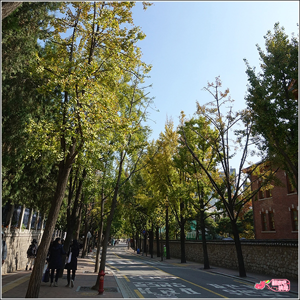 貞洞劇場_09.JPG 貞洞劇場_09.JPG