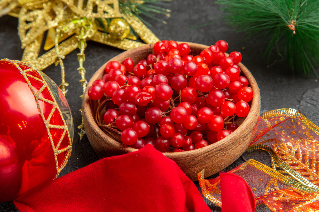 front-view-fresh-red-cranberries-around-christmas-toys-dark-background-color-xmas-holiday-fruit-berry.jpg