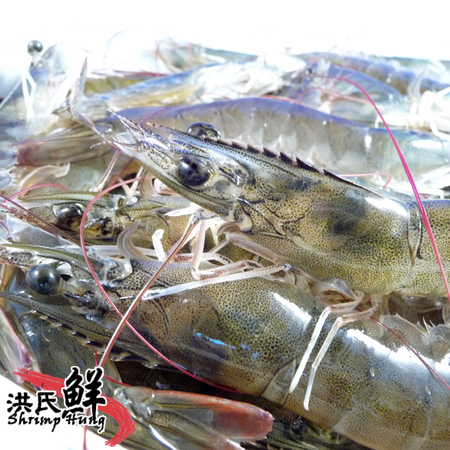 洪氏鮮蝦 洪氏鮮蝦