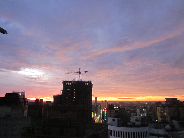 IMG_5975.JPG